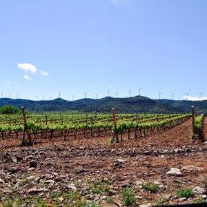 La Rioja, Spain May 2017