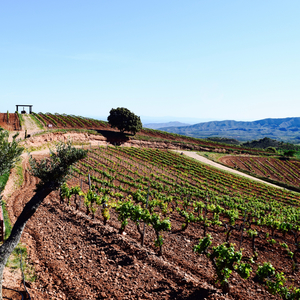 La Rioja, Spain May 2017