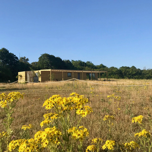 Cambridgeshire, Building our first outdoor venue, March-July 2018