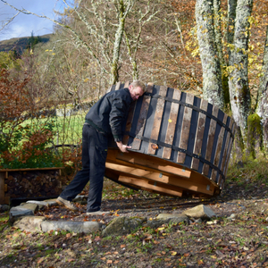 Scottish Highland, November 2018