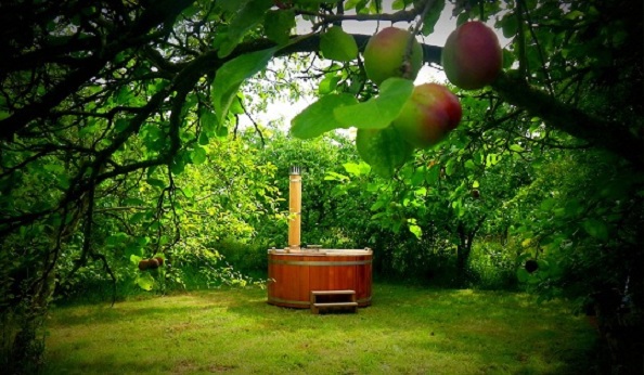 Celebrating in The Plum Orchard, Cambridge, July 2012